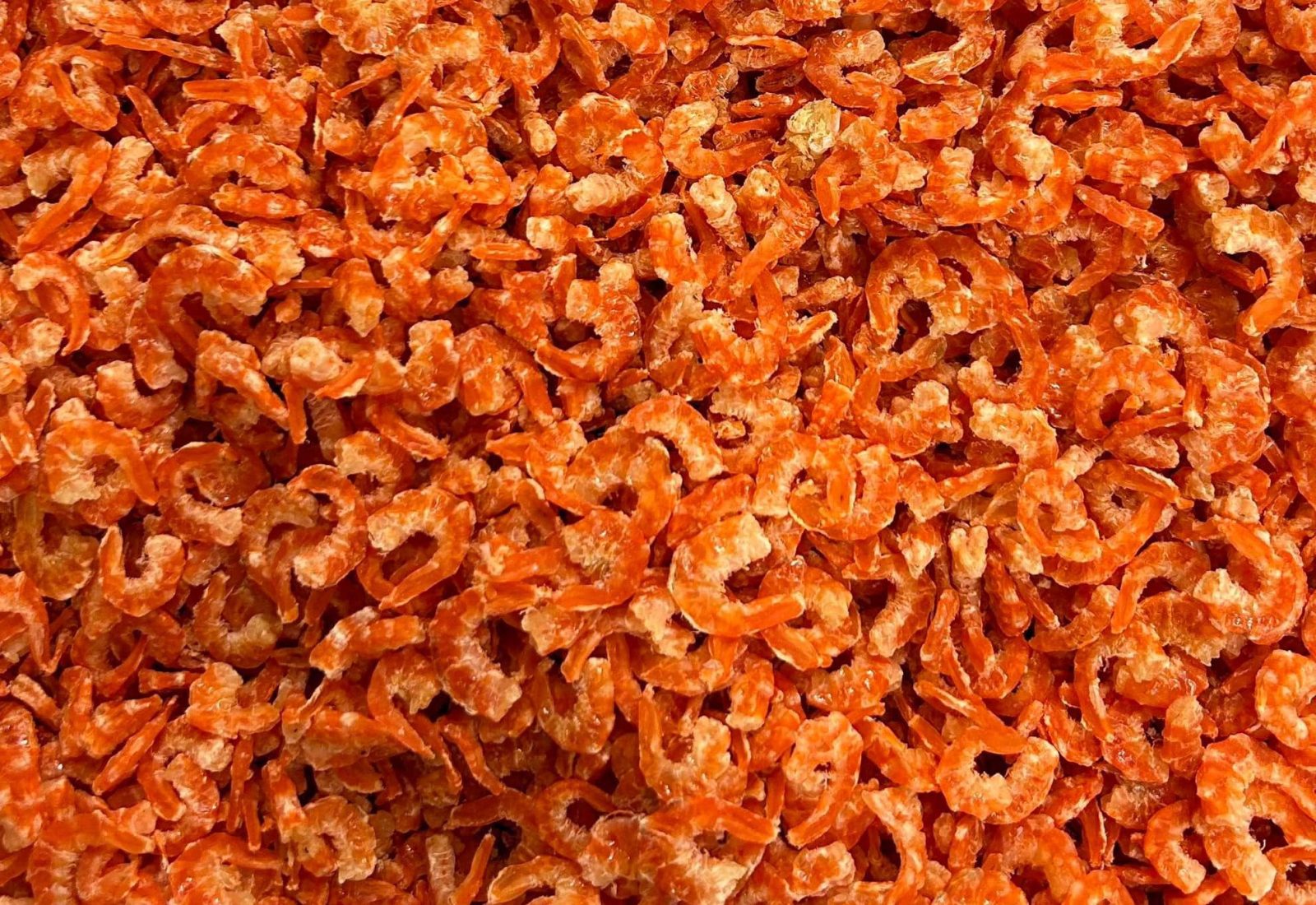 Fresh Dried Shrimp